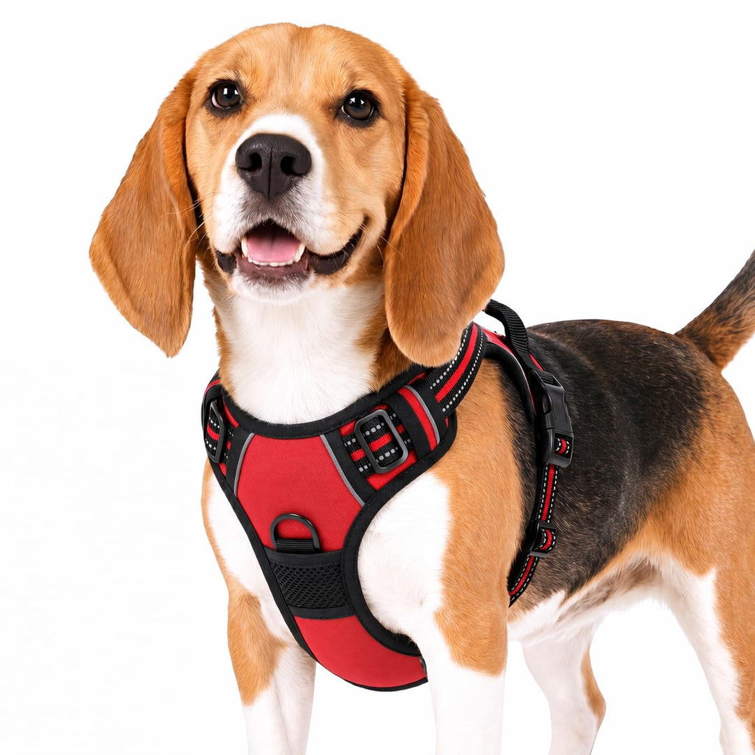 Funfox Hundegeschirr Mittelgrosse Hunde, Anti Zug Brustgeschirr Verstellbares Geschirr Hund, Antizie