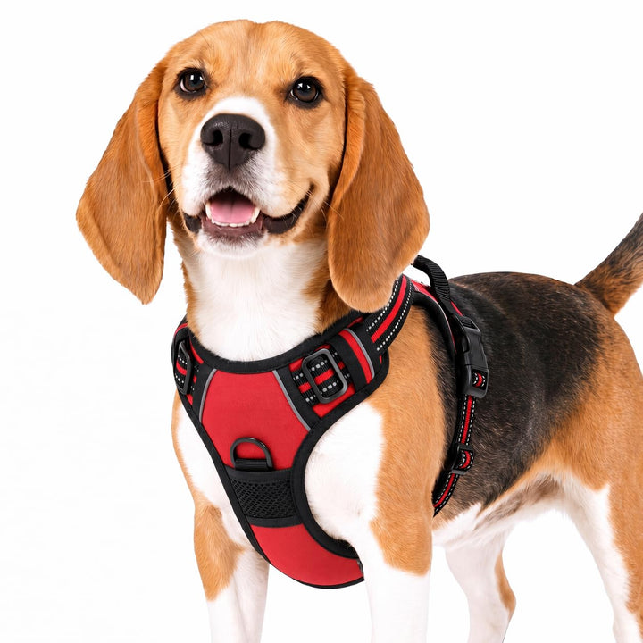Funfox Hundegeschirr Mittelgrosse Hunde, Anti Zug Brustgeschirr Verstellbares Geschirr Hund, Antizie