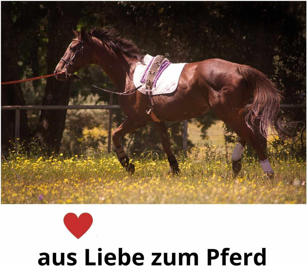 Amesbichler Cheval Kappzaum Reitkappzaum Leder Kappzaum, schwarz zum Longieren und Reiten, Gebiss ka