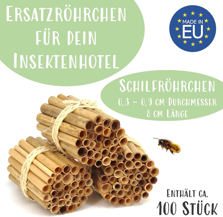 Reparaturset - Schilfröhrchen für Insektenhotels inkl. Lehmpulver, ca. 100 Stück, Länge 8 cm, Durchm