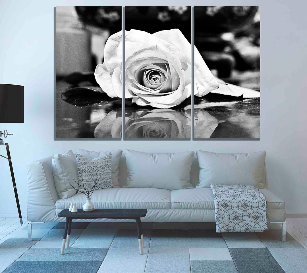 Kunstdruck auf Leinwand, Motiv: Rose, 50 x 25 cm, Schwarz / Weiss 50 x 25cm (20 x 10 inches) X 3, 50