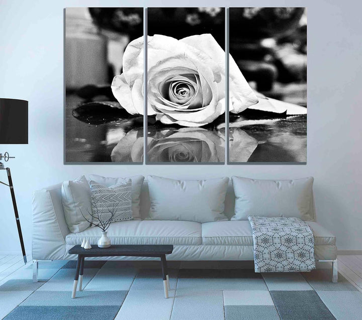 Kunstdruck auf Leinwand, Motiv: Rose, 50 x 25 cm, Schwarz / Weiss 50 x 25cm (20 x 10 inches) X 3, 50