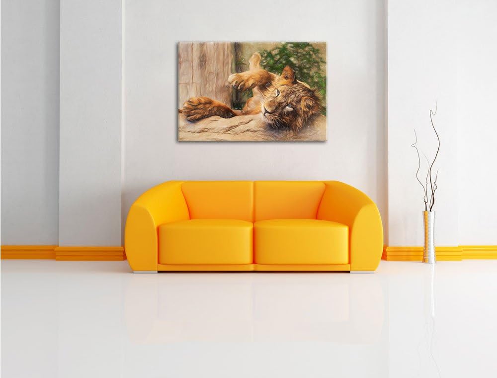 Pixxprint verspielter Kleiner Löwe als Leinwandbild/Grösse: 100x70 / Wandbild/Kunstdruck/fertig besp