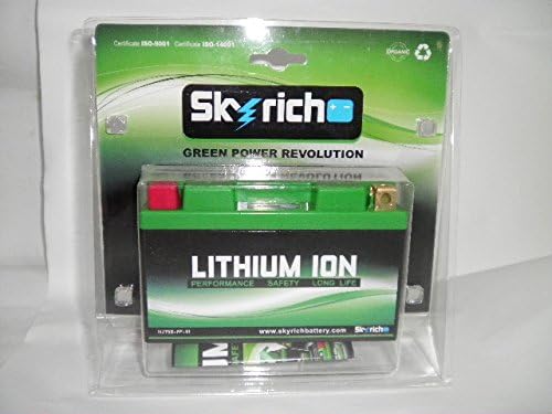 Skyrich HJT9B-FP Starterbatterie