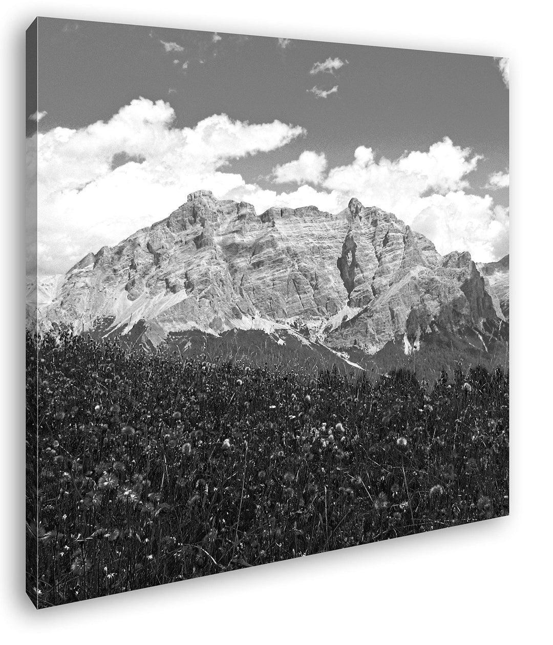 Blumenwiese in den Alpen Format: 70x70 Effekt: Schwarz&Weiss als Leinwandbild, Motiv fertig gerahmt