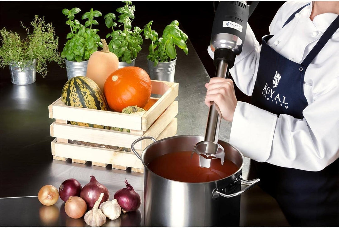 Royal Catering RCSM-500-400 Stabmixer Pürierstab Zauberstab (ergonomischer Griff, 500 W, 18.000 U/mi