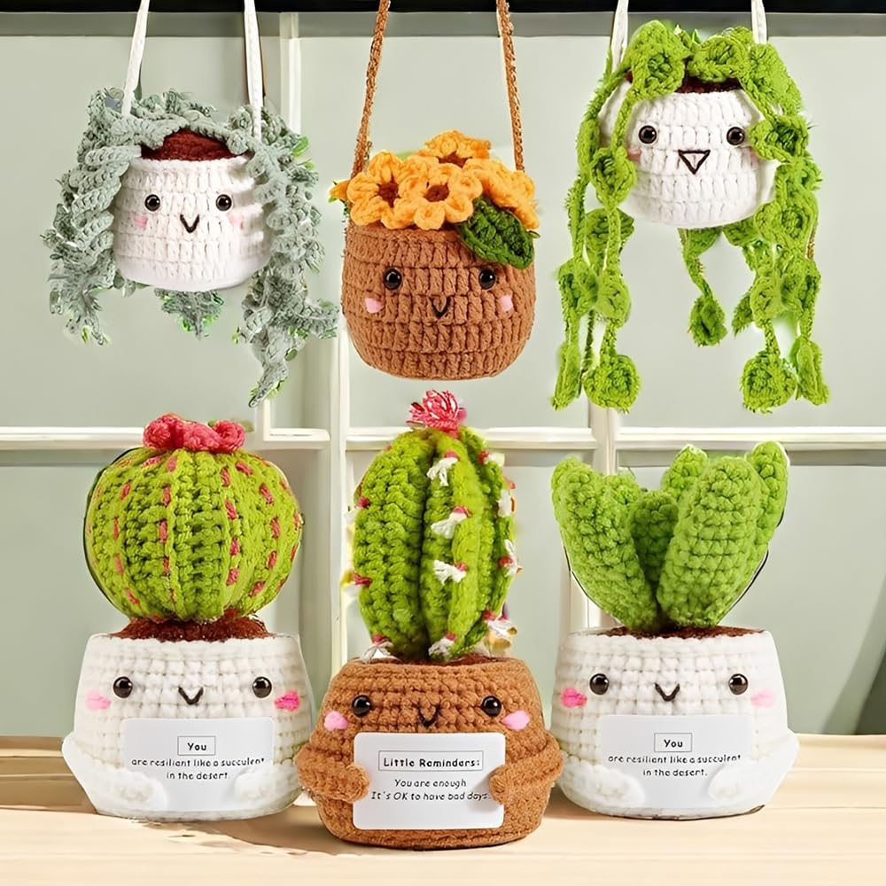 WDKXCN Häkelset für Anfänger, 6 Stück Stricken für Anfänger Set, Kaktus Häkeln für Anfänger, Crochet