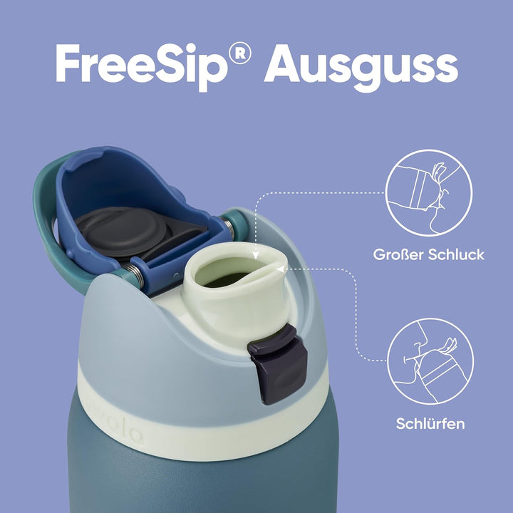 Owala FreeSip Isolierte Edelstahl Trinkflasche mit Strohhalm, 945 ml – BPA-frei, optimal für Sport,