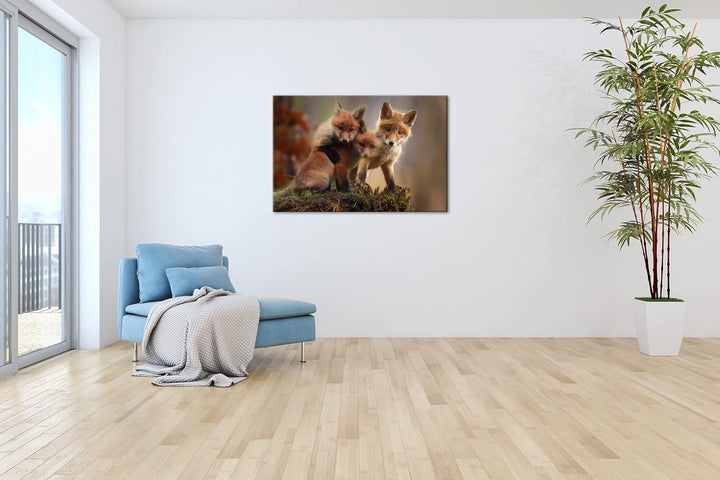 deyoli Kleine Familie von Rotfüchsen Format: 100x70 als Leinwand, Motiv fertig gerahmt auf Echtholzr