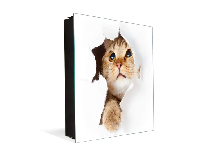 Concept Crystal Schlüsselkasten zur Wandmontage mit dekorativer Magnettafel K02 Katze in Papier Link