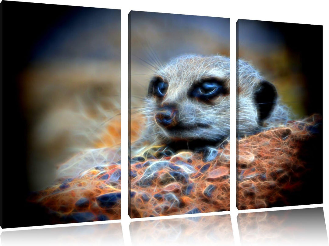 Dark ausgewachsenes Erdmännchen auf Steinboden NewArt 3-Teiler Leinwandbild 120x80 Bild auf Leinwand