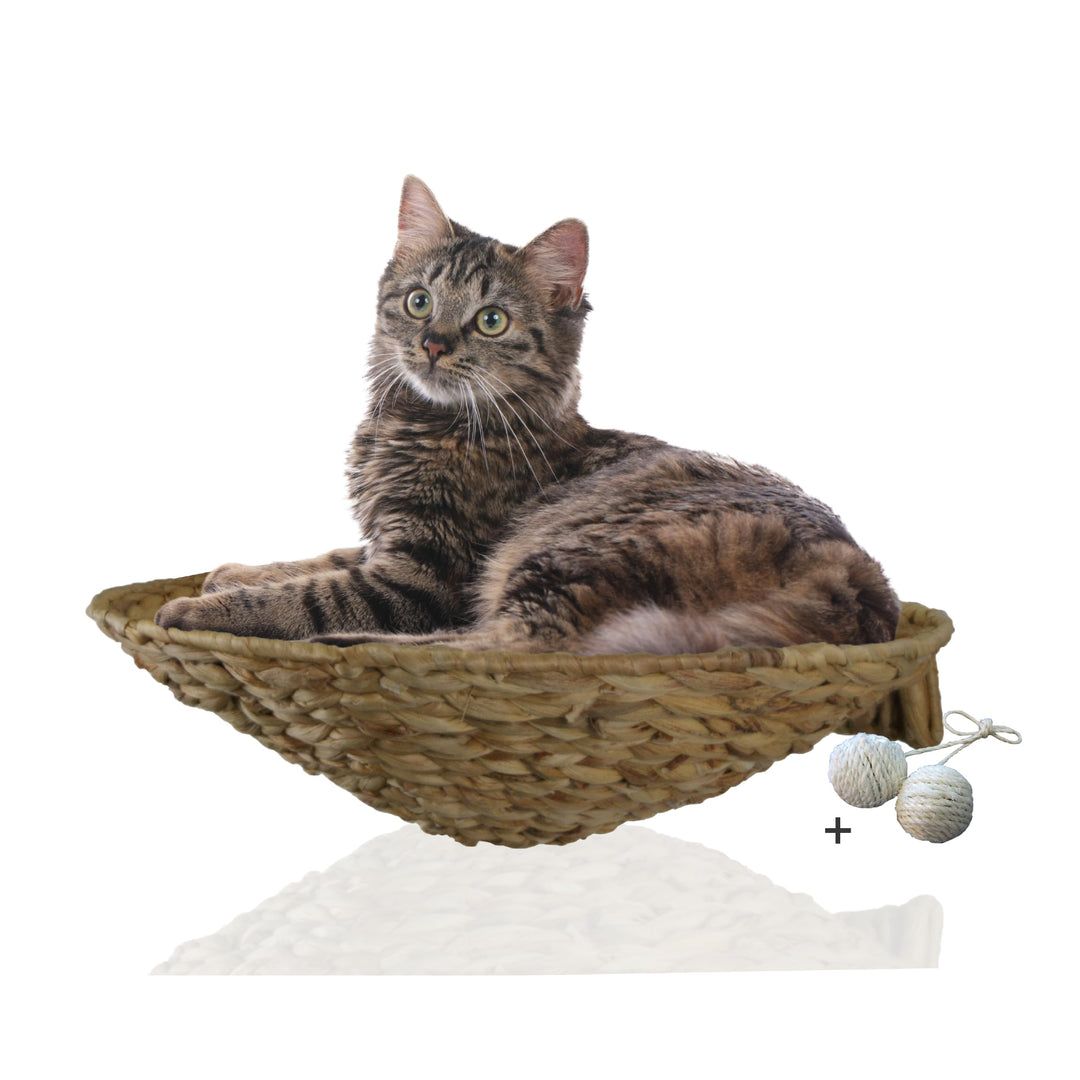 Rohrschneider runde Katzenmulde Katze Wandmontage | Katzenbett und Wandliege aus Wasserhyazinthe | G