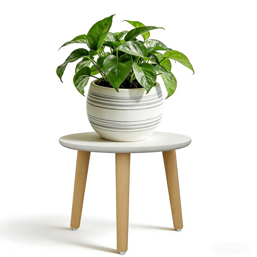 Pflanzenständer aus Holz, 28 x 22 cm Rund Blumenständer, Plant Bench, Belastung Blumenhocker mit 3 F
