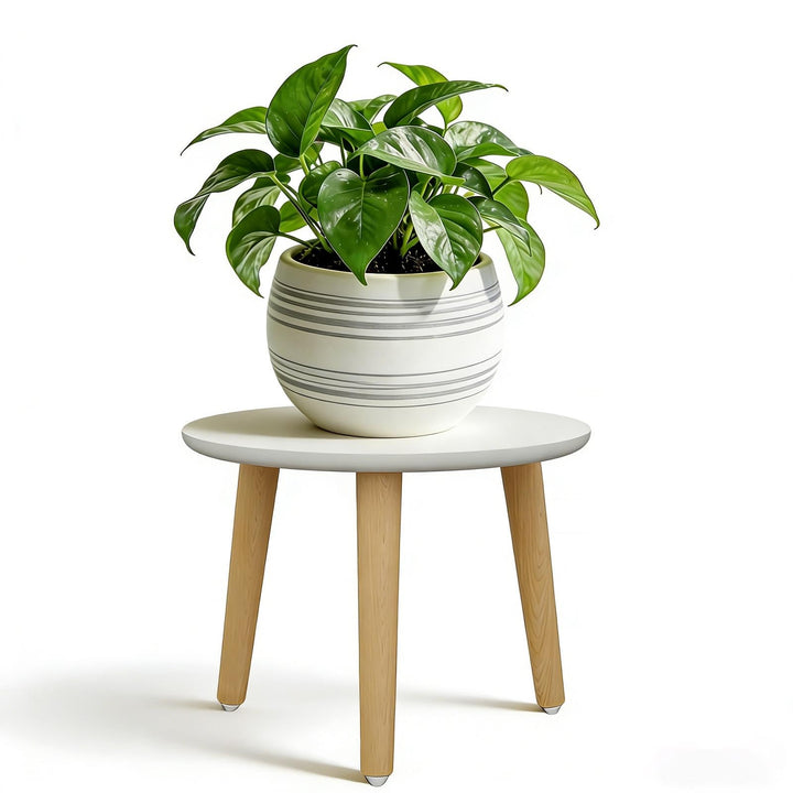 Pflanzenständer aus Holz, 28 x 22 cm Rund Blumenständer, Plant Bench, Belastung Blumenhocker mit 3 F