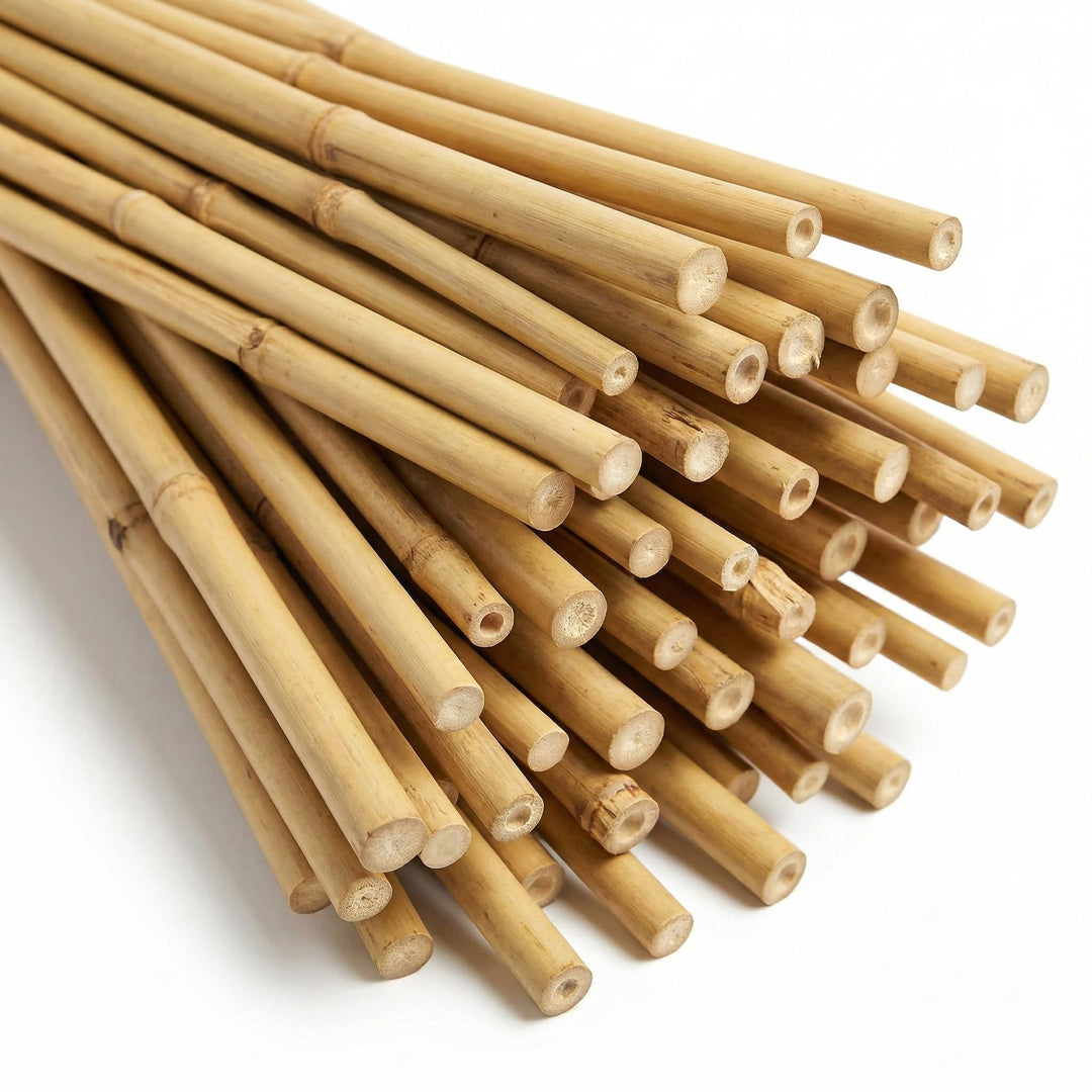bellissa Bambusstäbe Rankhilfe Bambusstangen 15er-Set Bambusholz 180 cm 180cm / 15 Stück, 180cm / 15