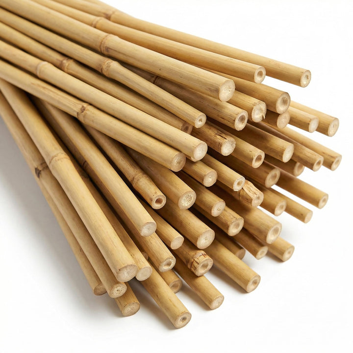 bellissa Bambusstäbe Rankhilfe Bambusstangen 100er-Set Bambusholz 120 cm | Pflanzenstütze für Rankpf