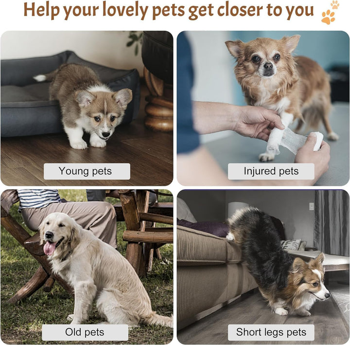 Breiter Hundetreppe 3 Stufen 30cm hoch für Kleine Hunde, Hochdichtem Schaumstoff Haustiertreppe, Was