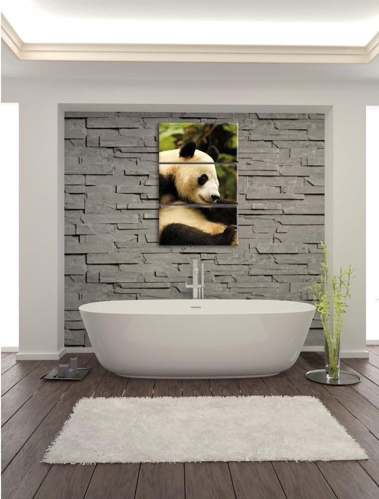 Pixxprint niedlicher Pandabär als Leinwandbild/Grösse: 3 Teilig (120x80) cm/Wandbild/Kunstdruck/fert
