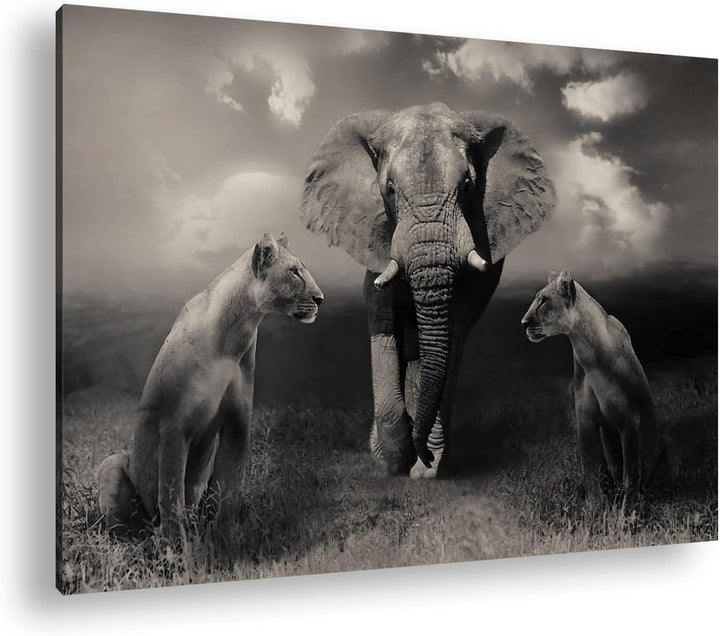 Tiere der Safarie Format: 80x60 als Leinwandbild, Motiv fertig gerahmt auf Echtholzrahmen, Hochwerti