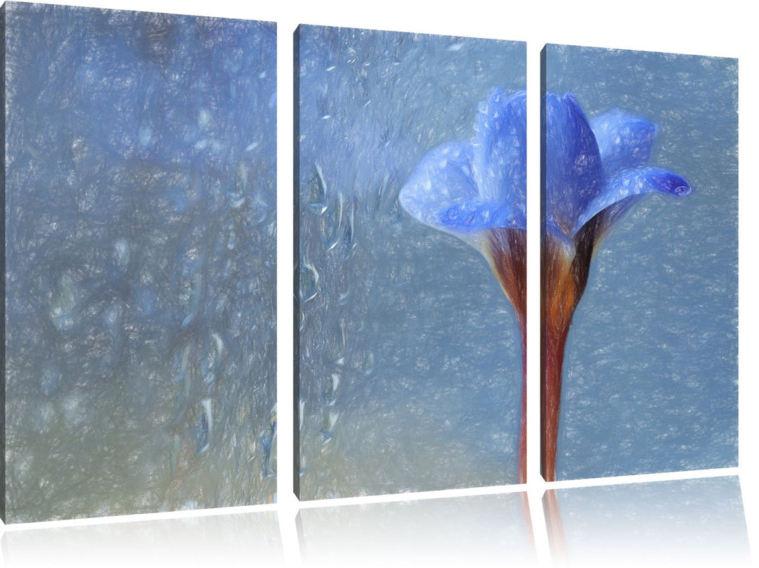 Pixxprint Blaue Frühlingsblume mit Tautropfen Kunst Buntstift Effekt 3-Teiler Leinwandbild 120x80 Bi