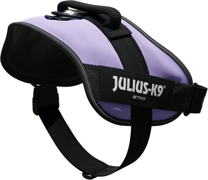 JULIUS K-9 IDC Powergeschirr, Grösse: 2XL/3, Lila 16IDC-C-0 Violett 2XL/3, Violett 2XL/3