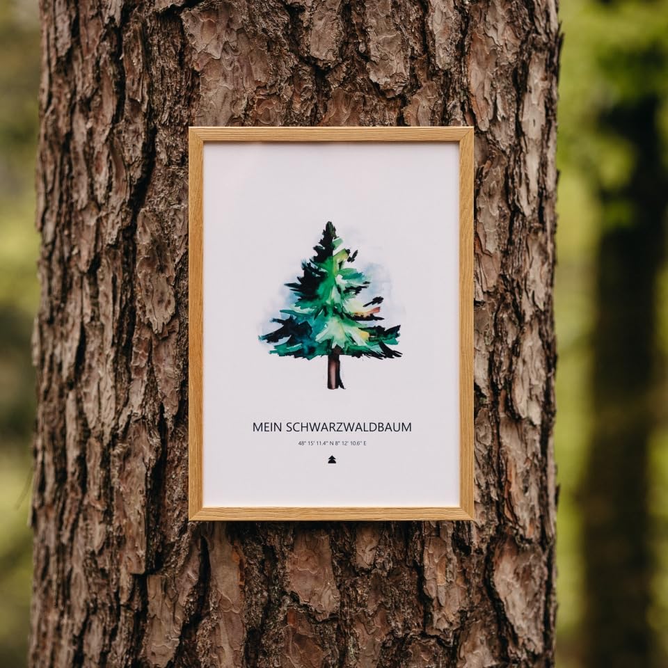 Baumspende & Aquarell 'Tanne modern' (Druck im Rahmen) | Nachhaltig | Geschenk Geburtstag, Hochzeit,