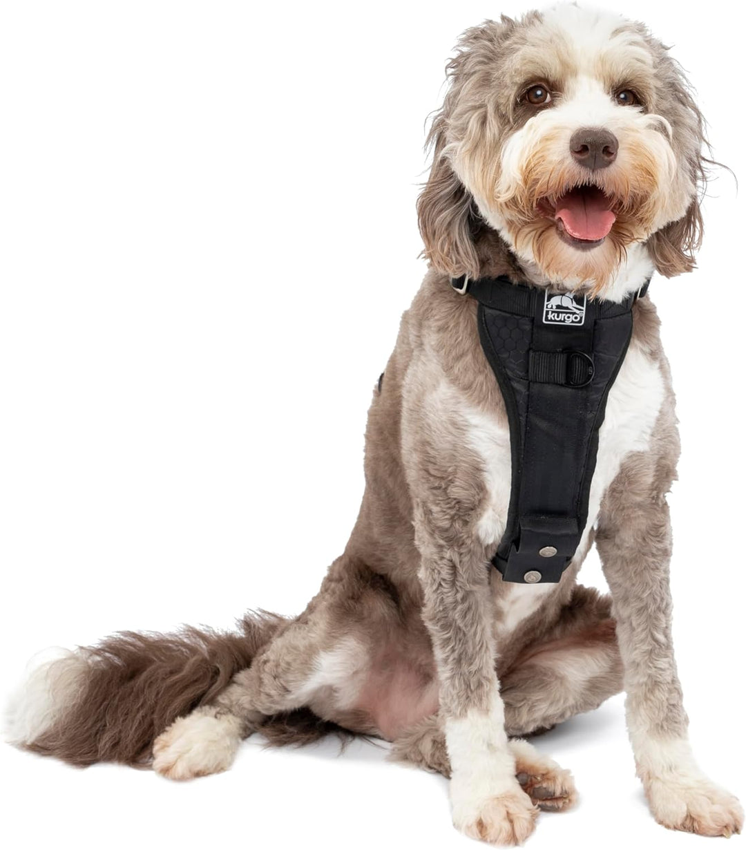 Kurgo Tru-Fit Hundegeschirr, Crash-Test-erprobtes Auto-Sicherheitsgurt, Für Hunde von 23 bis 36 kg,