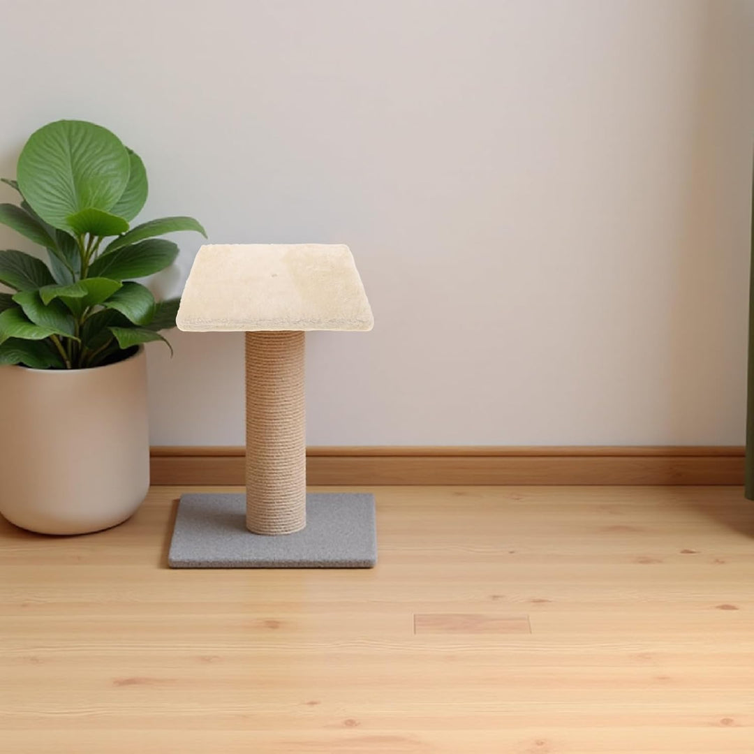 Veemoon Ersatzsockel für Kratzbaum: M8/M10 Kratzbaumsockel – Kratzbaum-Kratzpad für selbstgebaute Kl