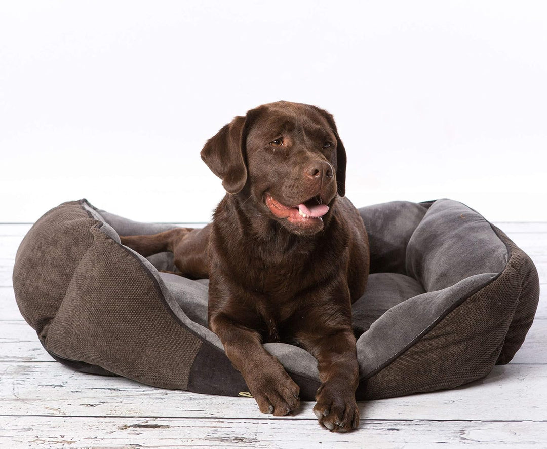 Scruffs M Chester Box Bett Graphite-Medium, Grau, M 60 x 50 cm Grau M 60 x 50 cm, Grau M 60 x 50 cm
