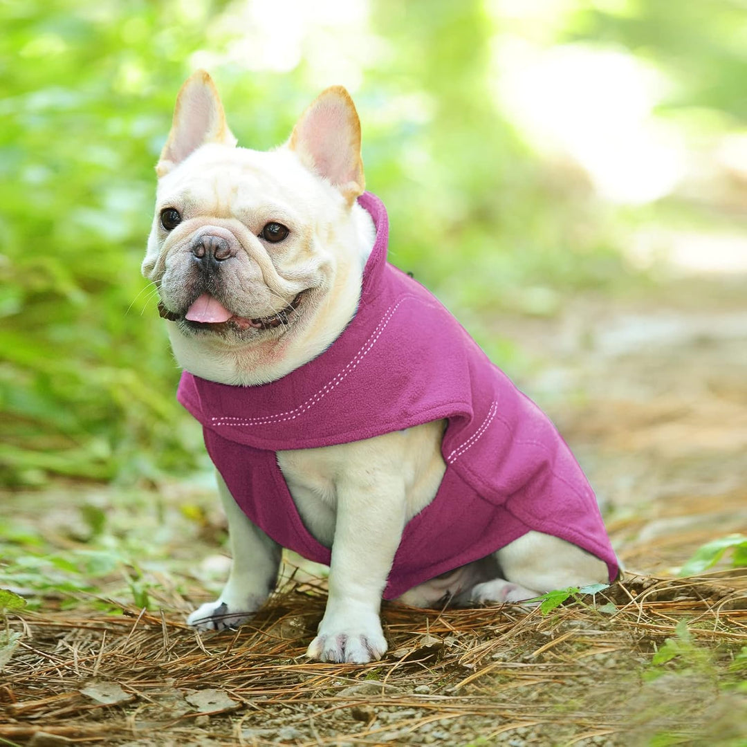 VIVAGLORY Softpad Wintermantel Hund, Hundepullover Fleece, Hundemantel mit Bauchschutz & Klettversch
