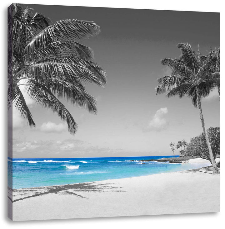 Pixxprint schöner Strand mit Palmen schwarz/weiss, Format: 70x70 auf Leinwand, 70x70