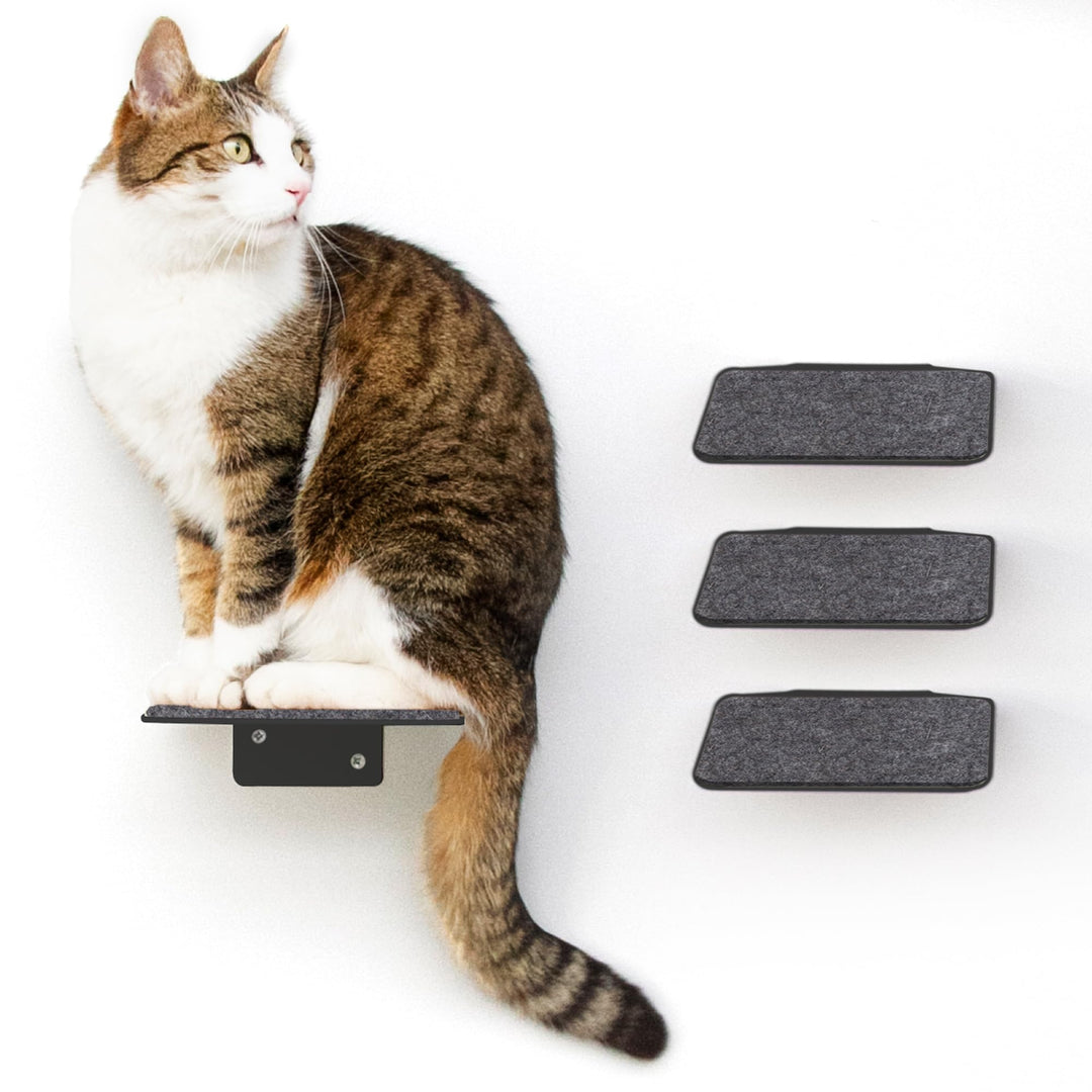 LucyBalu® STEPS XL Katzentreppe Wand Innen Aussen 3er Set | Katzen Kletterwand | Wandpark für Katzen