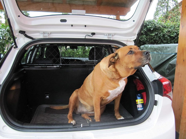ERGOTECH Trennnetz Trenngitter kompatibel mit Hyundai i20 (2014-2020), RDA65-XXS8, für Hunde und Gep