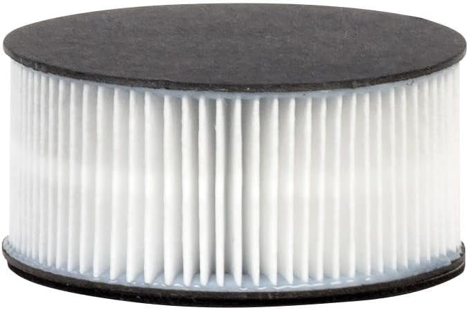 Iris Ohyama, 2er-Set Abluftfilter für Milbensauger, Beseitigt 95% der Partikel von 0,3?m, Milben, Al