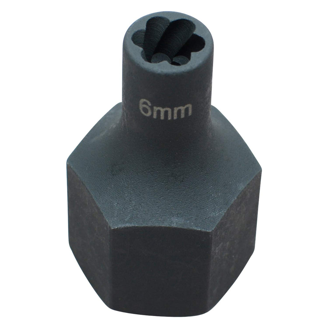 Hesselink Schraubenausdreher Hesselink SN-6 I Spezial-Steckschlüssel-Einsatz/Schraubenausdreher I (1