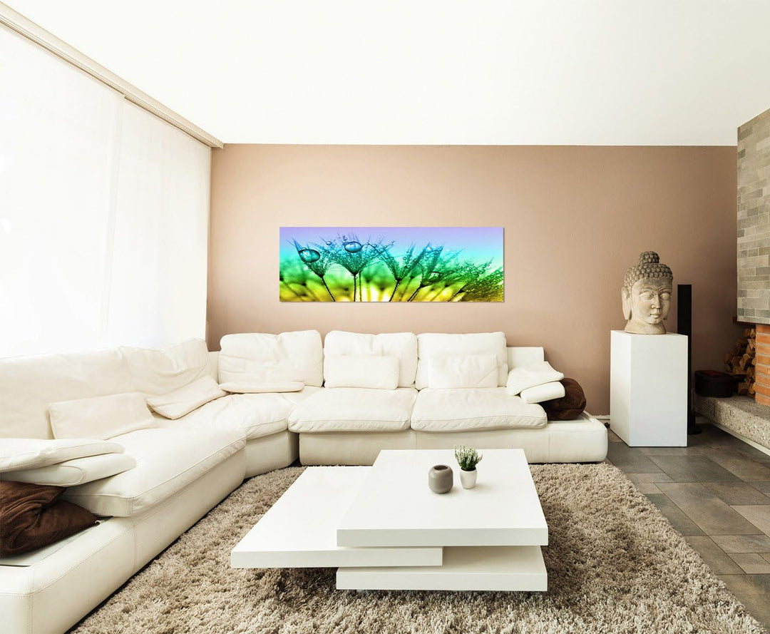 Paul Sinus Art Panoramabild auf Leinwand und Keilrahmen 150x50cm Pusteblumen Löwenzahn Wassertropfen