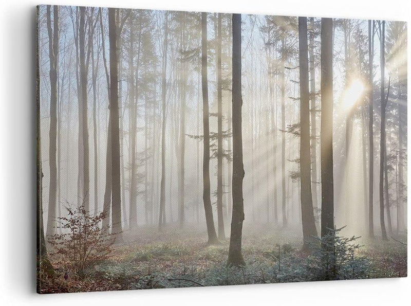 Bilder auf Leinwand 100x70cm Leinwandbild mit Rahmen Wald Baum Natur Gross Wanddeko Bild Schlafzimme