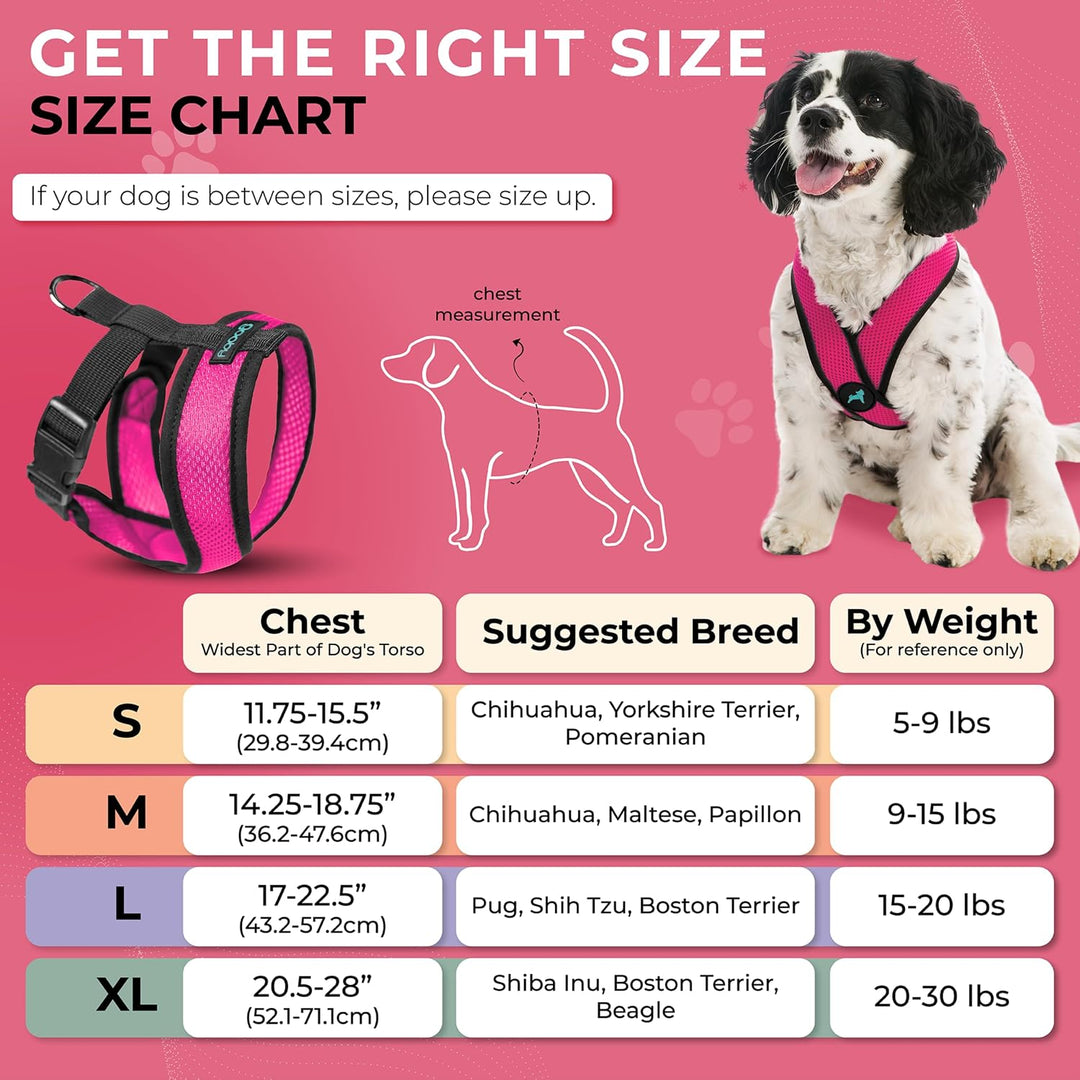 Gooby Comfort X Head In Harness - Flamingo Pink, Small - No Pull Kleines Hundegeschirr, Patentierter