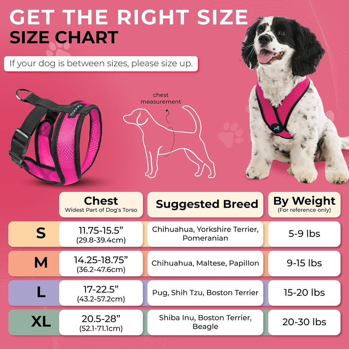 Gooby Comfort X Head In Harness - Flamingo Pink, Small - No Pull Kleines Hundegeschirr, Patentierter