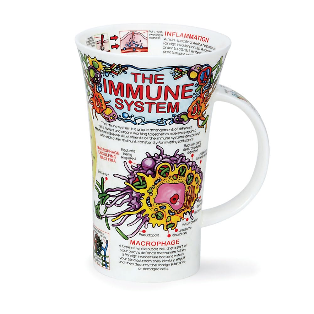 Dunoon Glencoe Tasse mit Immunsystem, 0,5 l