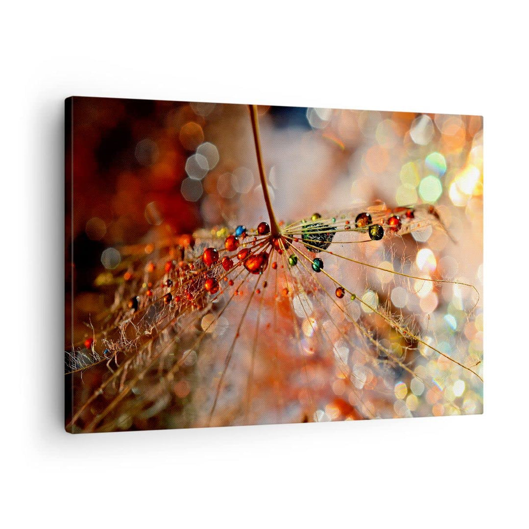 Bilder auf Leinwand Spinnennetz modern Leinwandbild mit Rahmen 70x50cm Wandbilder Dekoration Wohnzim