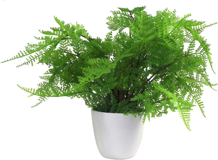 Leaf Mini-Farn Künstlicher Damenfarn in Topfform, 30 cm (Athyrium Filix-Femina), Kunststoff, Lady Fe