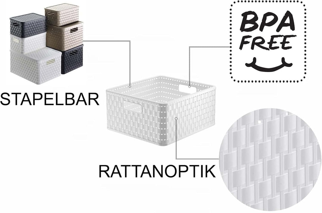 Rotho Country 3er-Set Aufbewahrungsbox Rattan-Optik, Kunststoff (PP) BPA-frei, Weiss, 14l, (32,8 x 3
