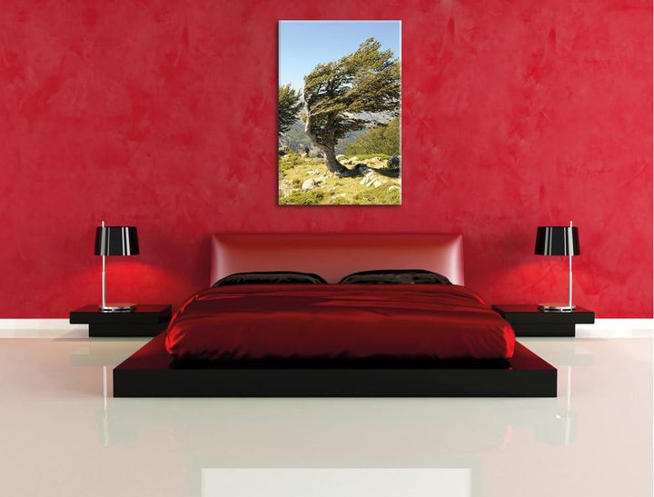 Pixxprint Schiefer Baum, Format: 100x70 auf Leinwand, XXL riesige Bilder fertig gerahmt mit Keilrahm