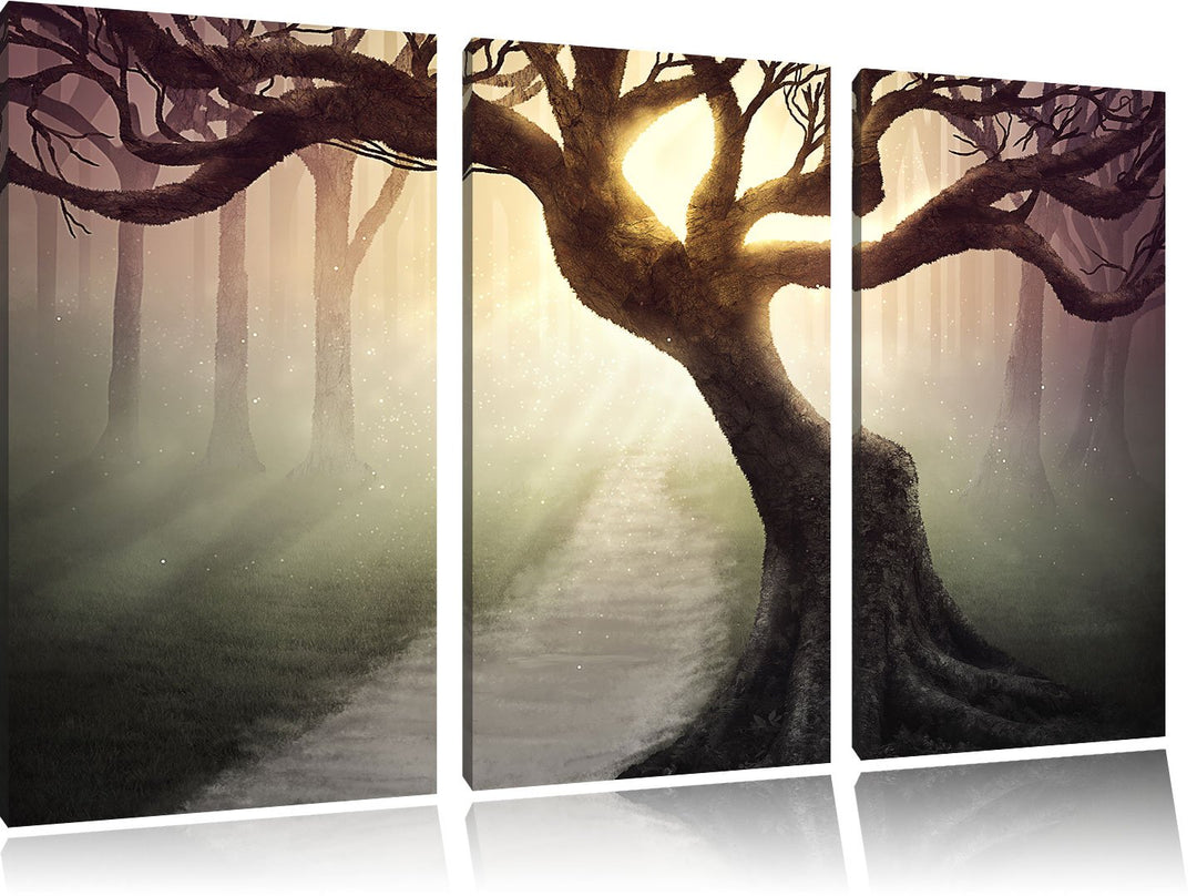 Pixxprint Baum am Waldweg als Leinwandbild/Grösse: 3 Teilig (120x80) cm/Wandbild/Kunstdruck/fertig b