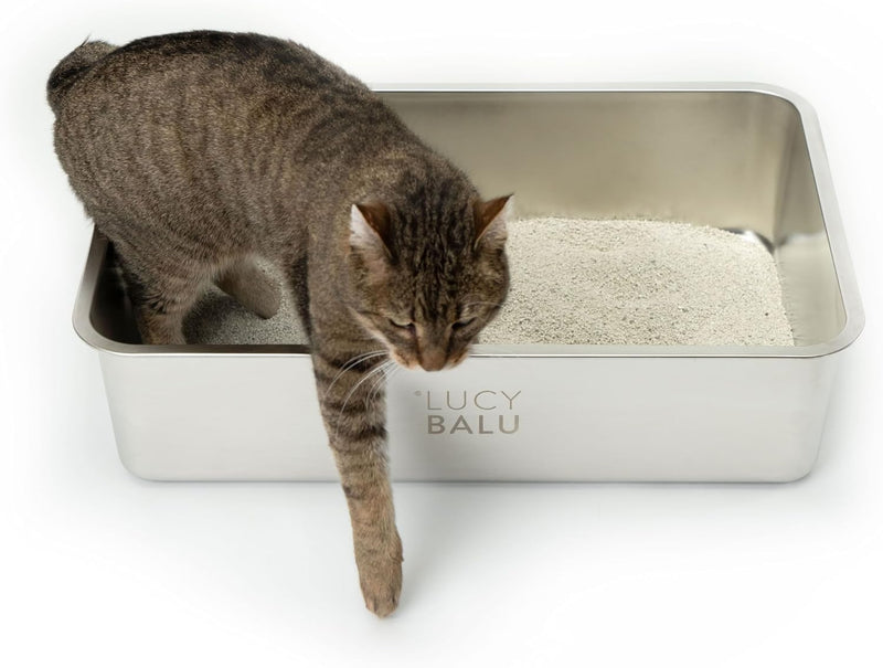 LucyBalu® STEELOO Edelstahl Katzenklo geruchsfrei | XXL-Katzentoilette aus Edelstahl | offenes Katze