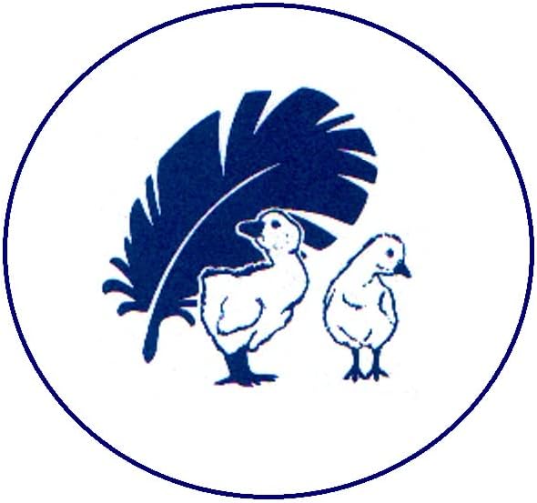 Betten Hofmann Canada Kopfkissen 50/75 cm Federkissen Kissen 30% Daunenanteil 600g