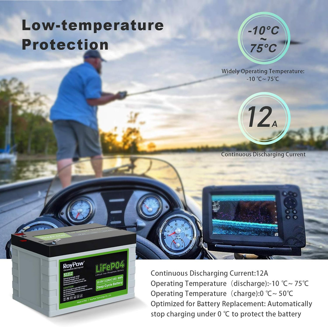 RoyPow 12V 12Ah LiFePO4 Lithium Eisenphosphat Batterie 3500 Zyklen wiederaufladbarer LiFePO4 Akku mi