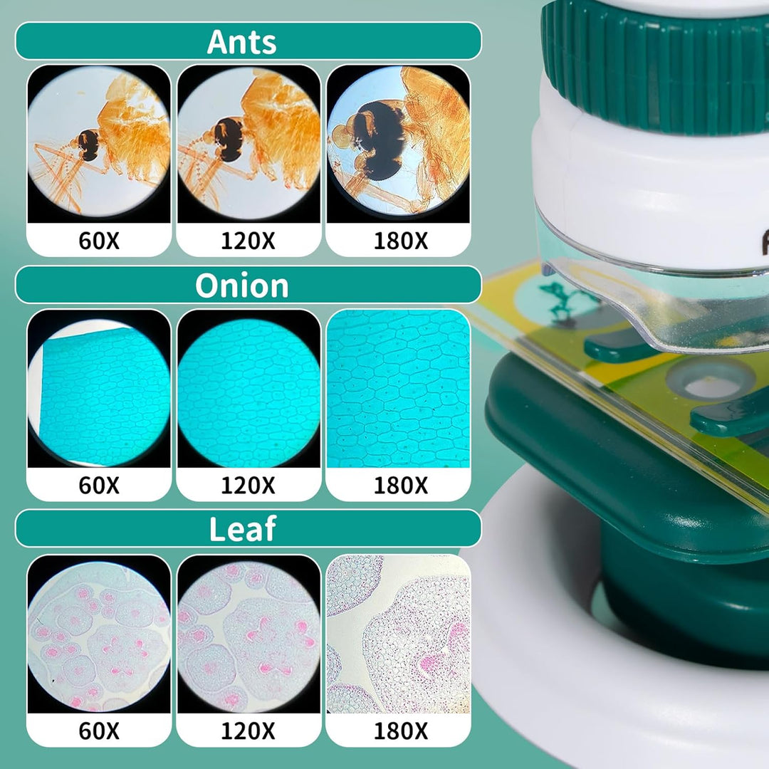 Todeco Mikroskop für Kinder, 60x-180x Taschenmikroskop, Benchtop Handmikroskop 2-in-1 mit Einstellba