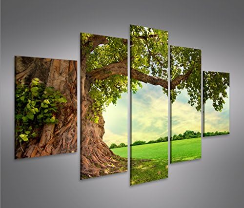 islandburner Bild Bilder auf Leinwand Alter Baum Landschaft Natur Grün MF XXL Poster Leinwandbild Wa